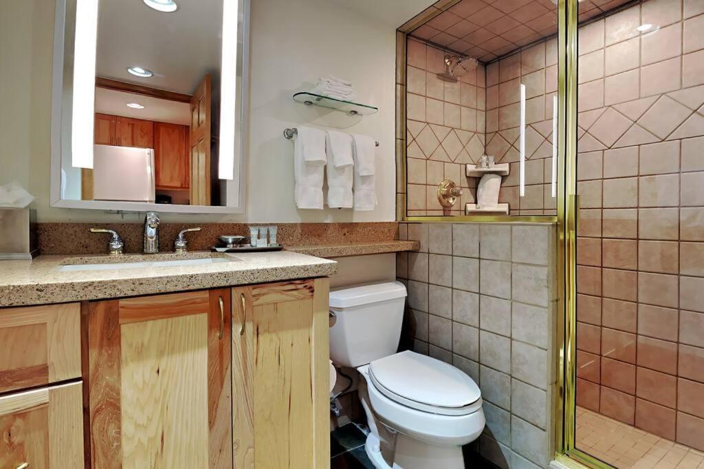 Timberline Condominiums Studio Loft Standard Unit 303 Snowmass Village Dış mekan fotoğraf